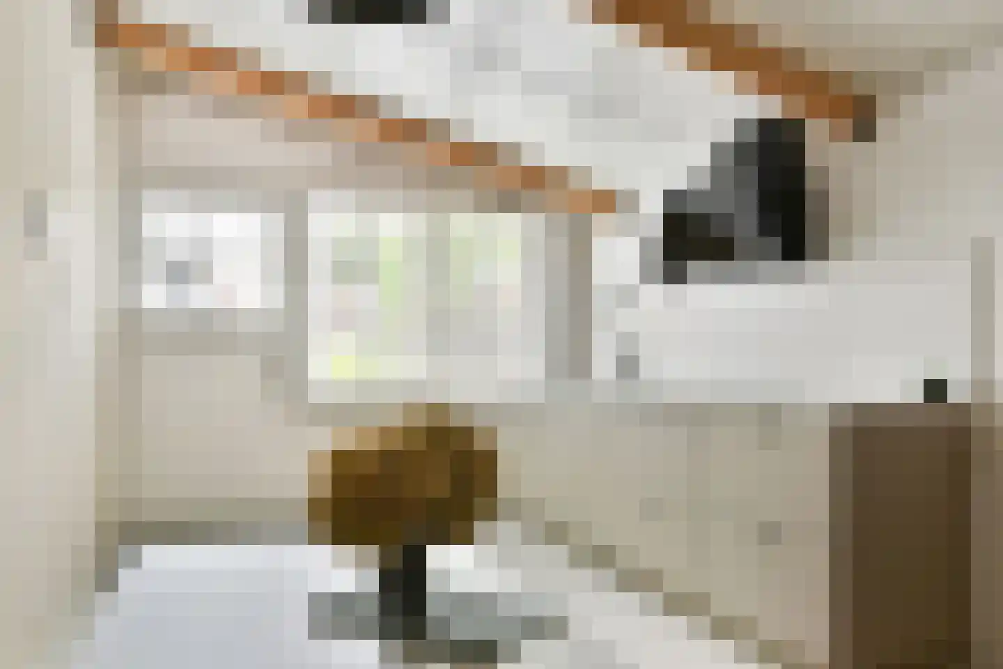 Rechte Zandweg 46 Dordrecht thumbnail 41