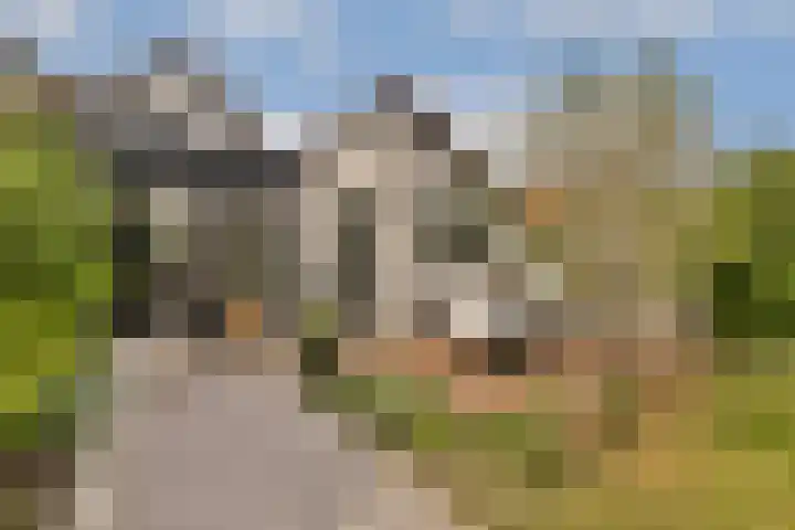 Rechte Zandweg 51 Dordrecht thumbnail 31