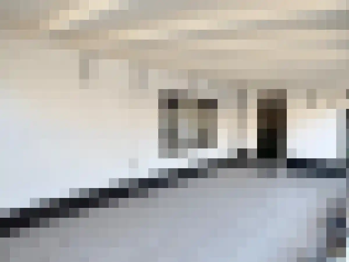 Rechte Zandweg 7 Dordrecht thumbnail 4