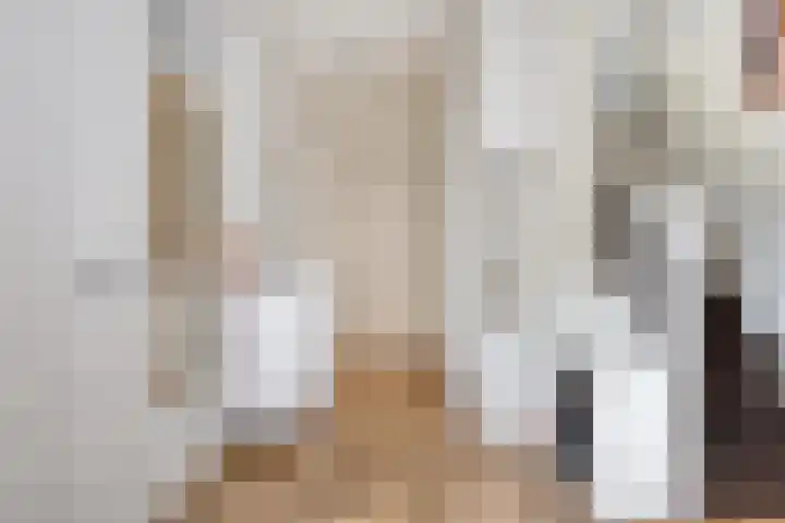 Rechter van Berckelstraat 11 Gemert thumbnail 10