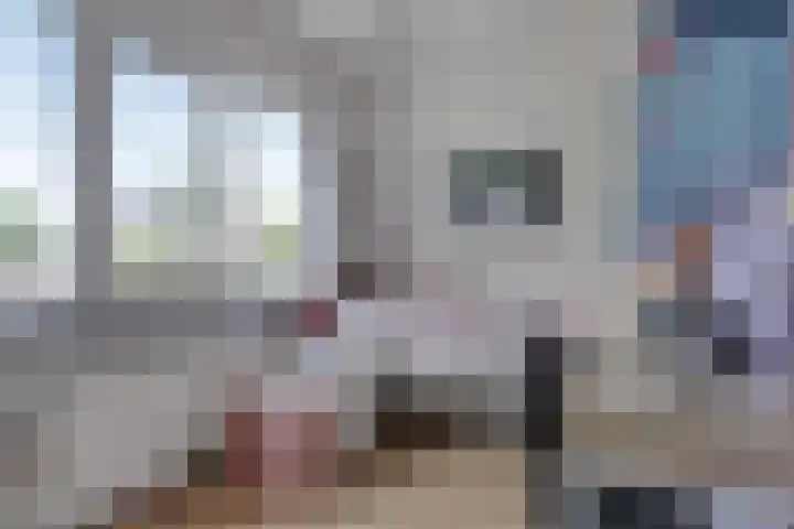 Rechter van Berckelstraat 11 Gemert thumbnail 12