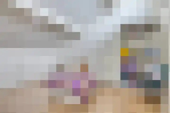 Rechter van Berckelstraat 11 Gemert thumbnail 17