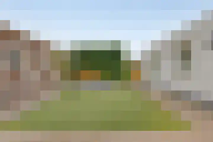 Rechter van Berckelstraat 11 Gemert thumbnail 19