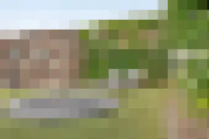Rechter van Berckelstraat 11 Gemert thumbnail 20