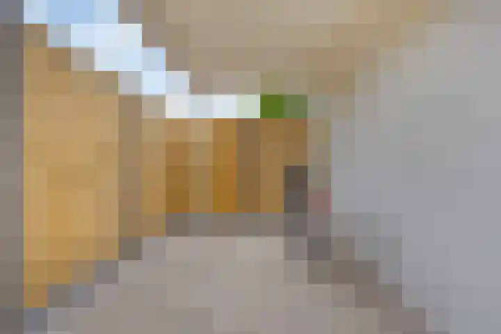 Rechter van Berckelstraat 11 Gemert thumbnail 21