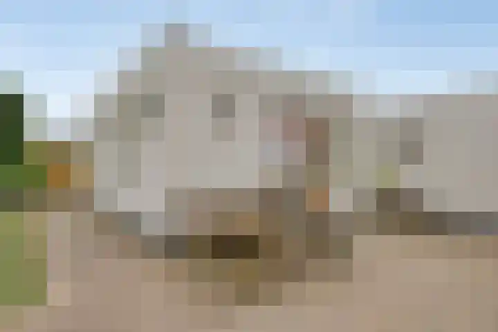 Rechter van Berckelstraat 11 Gemert thumbnail 23