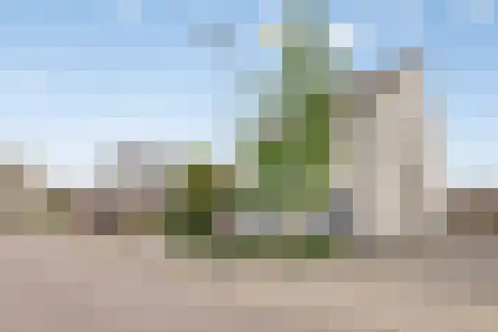 Rechter van Berckelstraat 11 Gemert thumbnail 27
