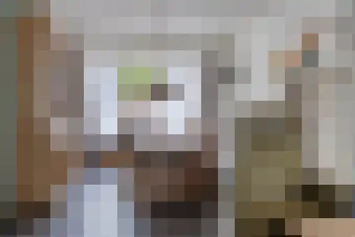 Rechter van Berckelstraat 11 Gemert thumbnail 6