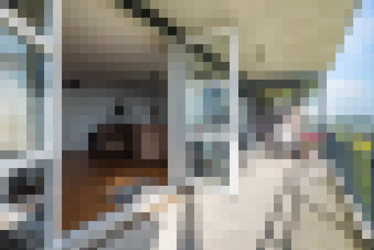 Rechteren 30 Zeewolde thumbnail 23