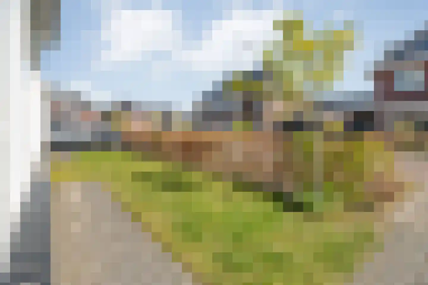 Rechteren 9 Raalte thumbnail 12