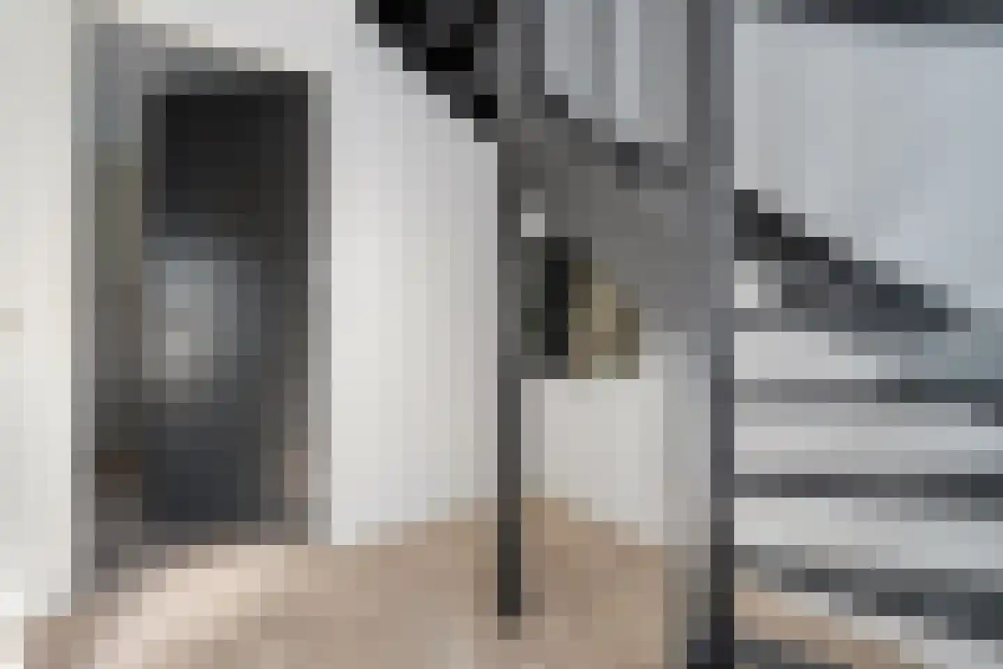 Rechteren 9 Raalte thumbnail 15