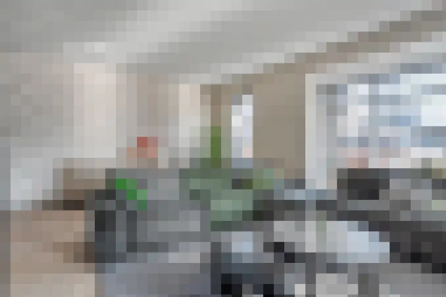 Rechteren 9 Raalte thumbnail 17