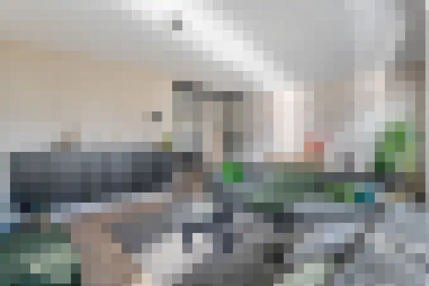 Rechteren 9 Raalte thumbnail 18