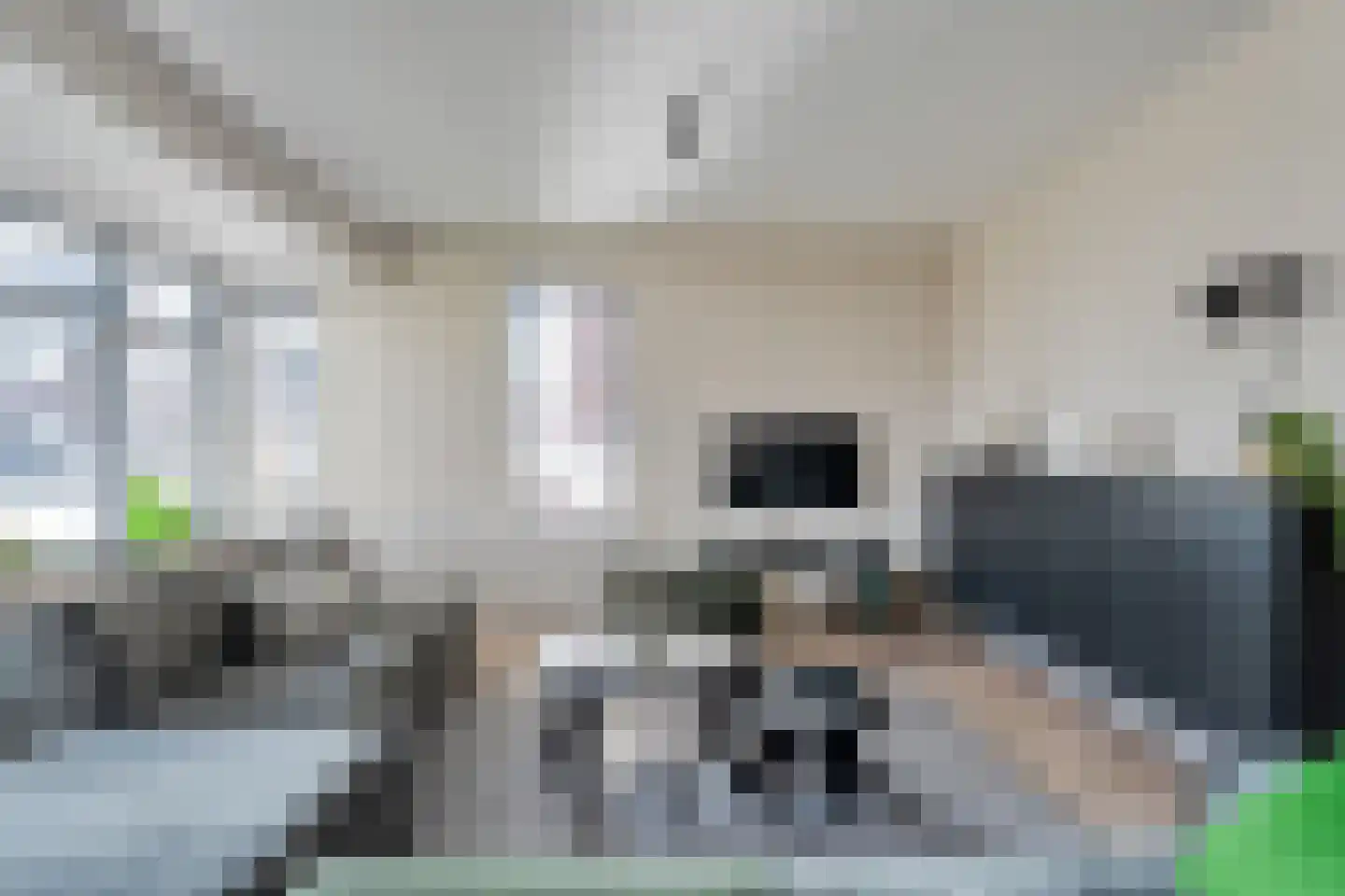 Rechteren 9 Raalte thumbnail 19