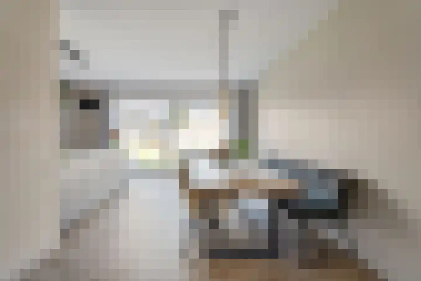 Rechteren 9 Raalte thumbnail 21