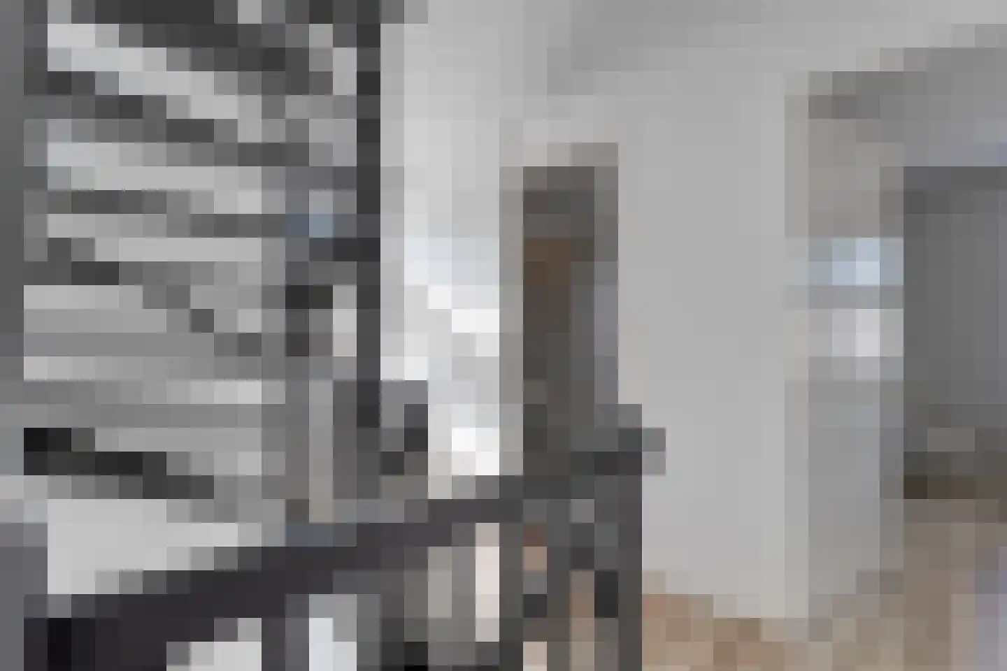 Rechteren 9 Raalte thumbnail 32