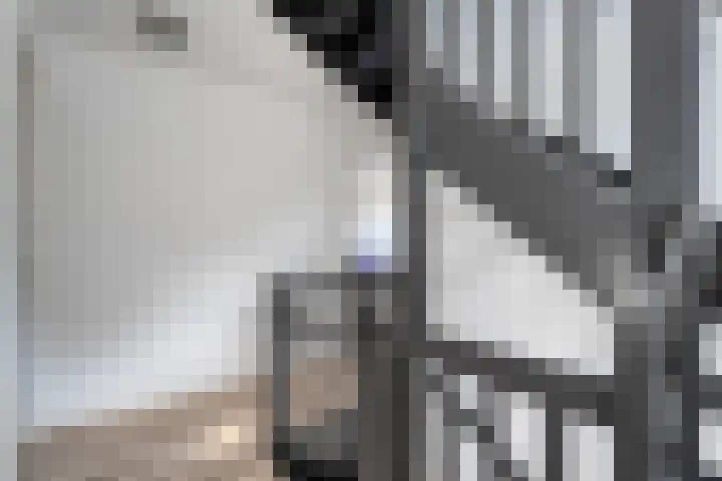 Rechteren 9 Raalte thumbnail 33