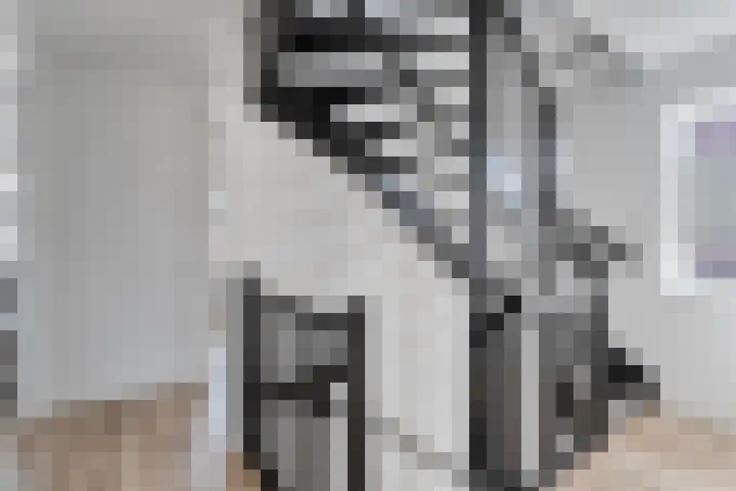 Rechteren 9 Raalte thumbnail 34