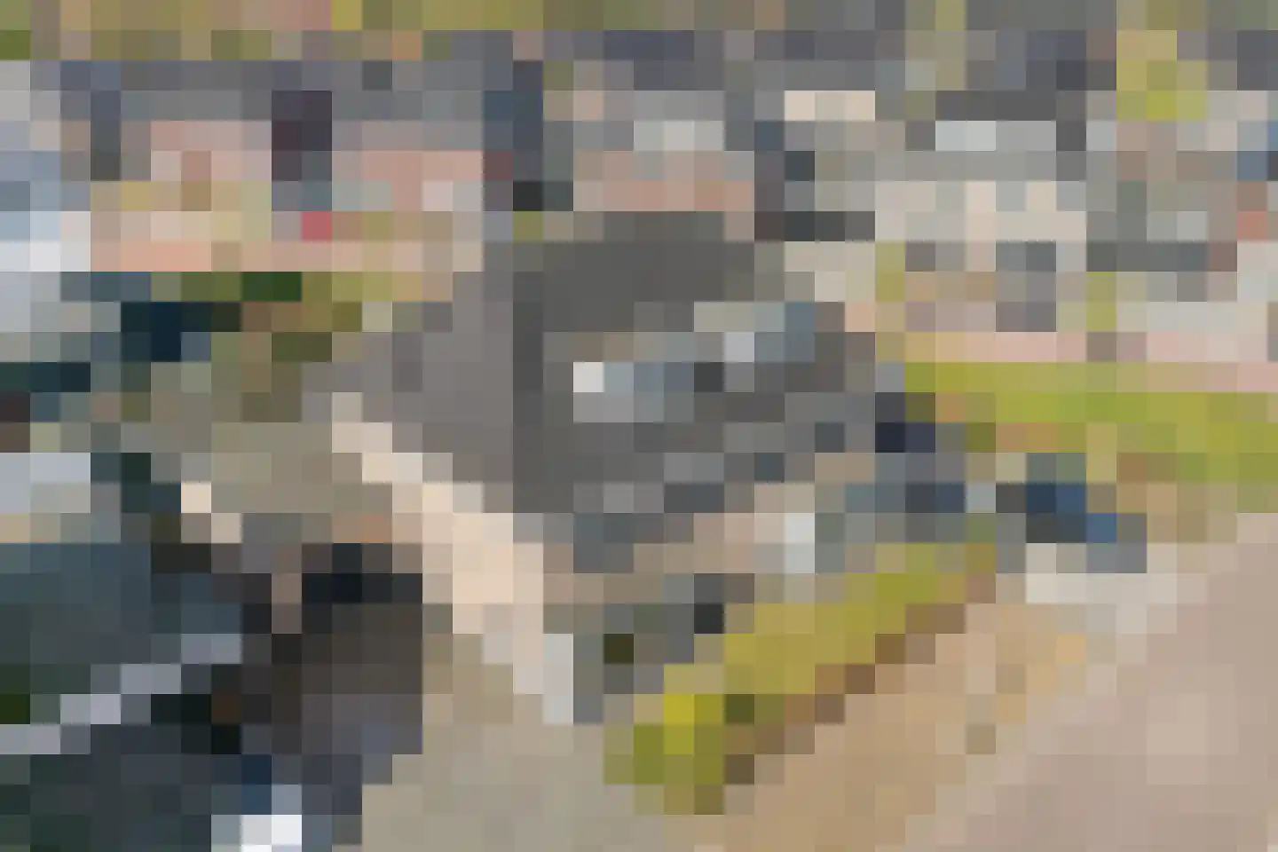 Rechteren 9 Raalte thumbnail 4