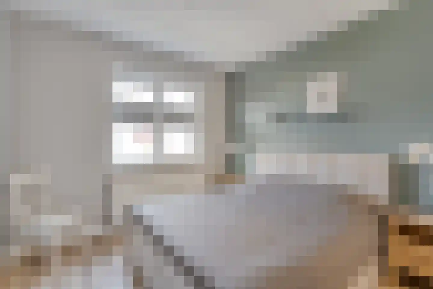 Rechteren 9 Raalte thumbnail 40