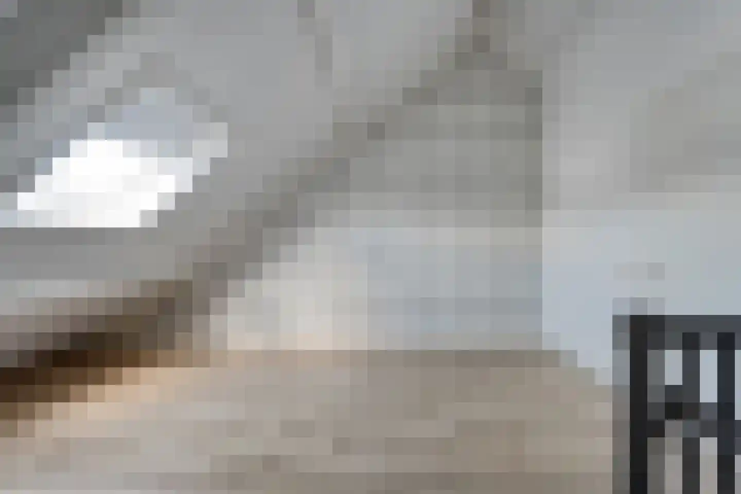 Rechteren 9 Raalte thumbnail 45