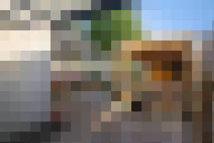 Rechterenstraat 20 Almere thumbnail 32