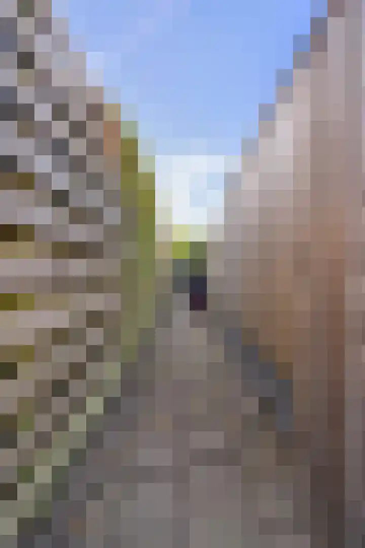 Rechterenstraat 20 Almere thumbnail 36