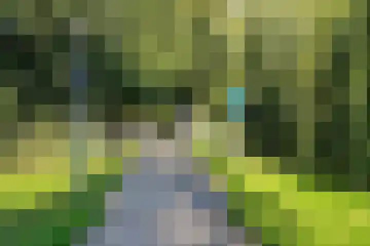 Rechterenstraat 20 Almere thumbnail 37