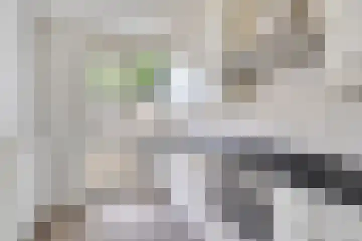 Rechterenstraat 30 Breda thumbnail 10