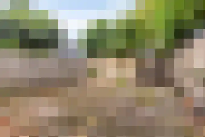 Rechterenstraat 30 Breda thumbnail 12