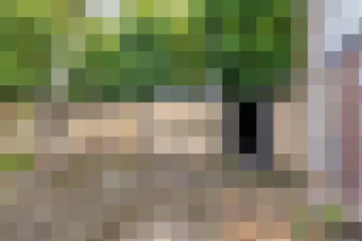Rechterenstraat 30 Breda thumbnail 14