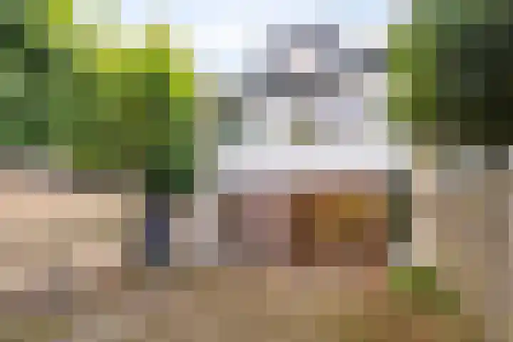 Rechterenstraat 30 Breda thumbnail 17