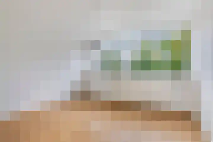 Rechterenstraat 30 Breda thumbnail 19