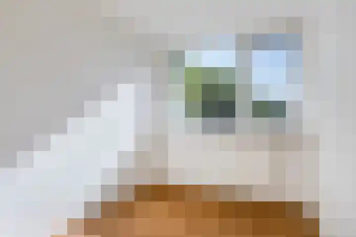 Rechterenstraat 30 Breda thumbnail 23