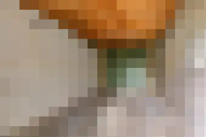 Rechterenstraat 30 Breda thumbnail 32