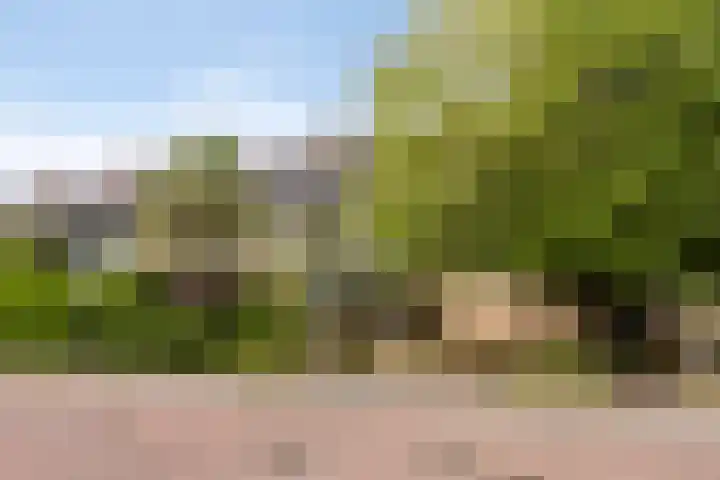 Rechterenstraat 30 Breda thumbnail 33
