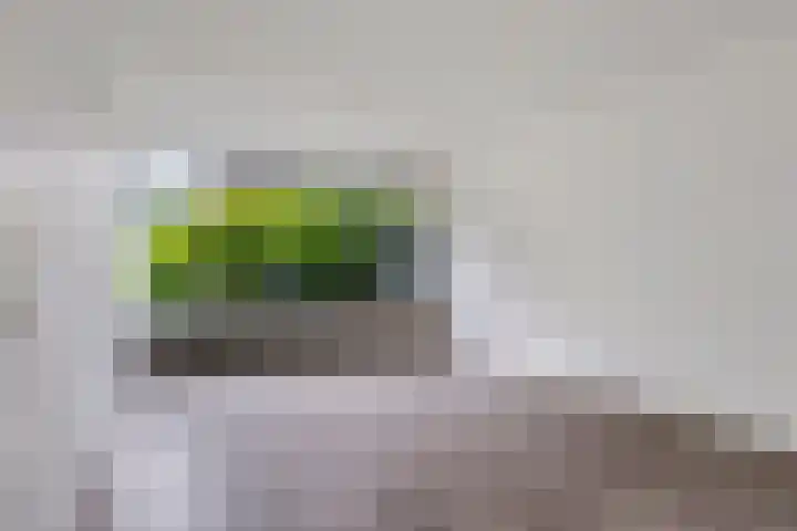 Rechterenstraat 30 Breda thumbnail 4