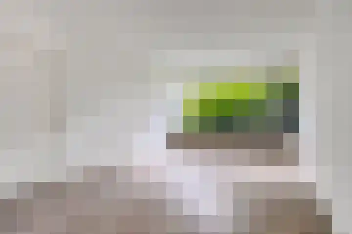 Rechterenstraat 30 Breda thumbnail 5