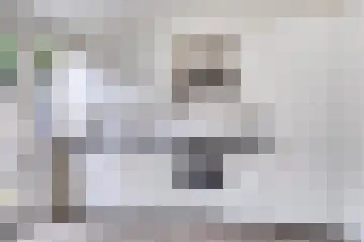 Rechterenstraat 30 Breda thumbnail 9