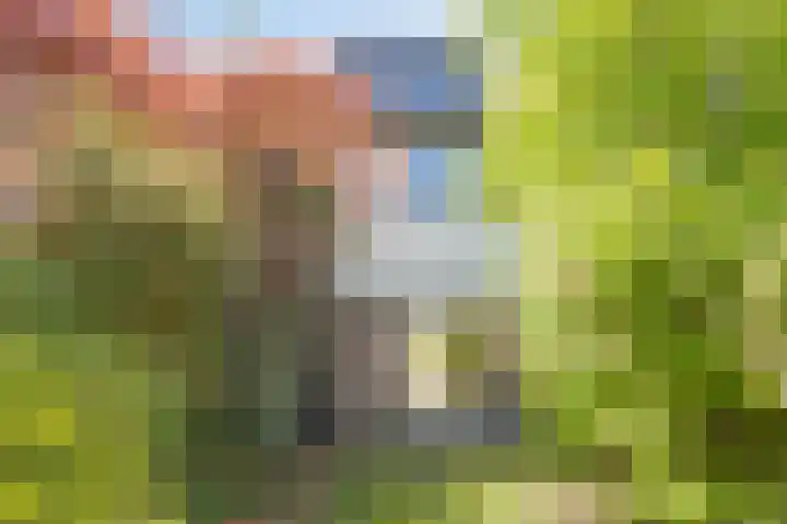 Rechterenstraat 54 Breda thumbnail 20