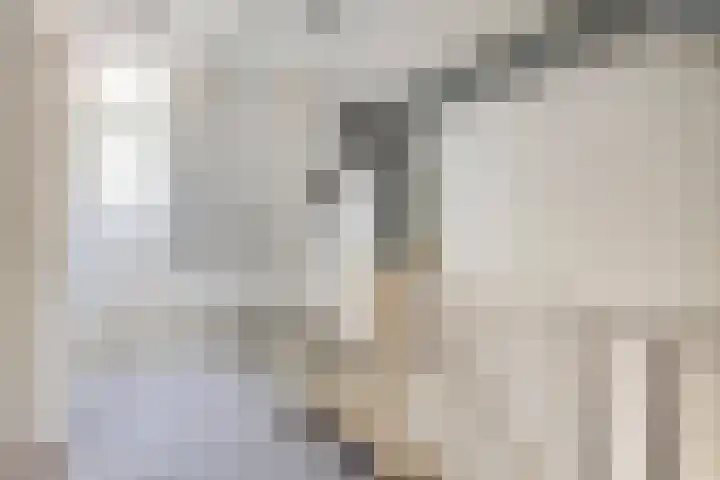 Rechterenstraat 54 Breda thumbnail 30