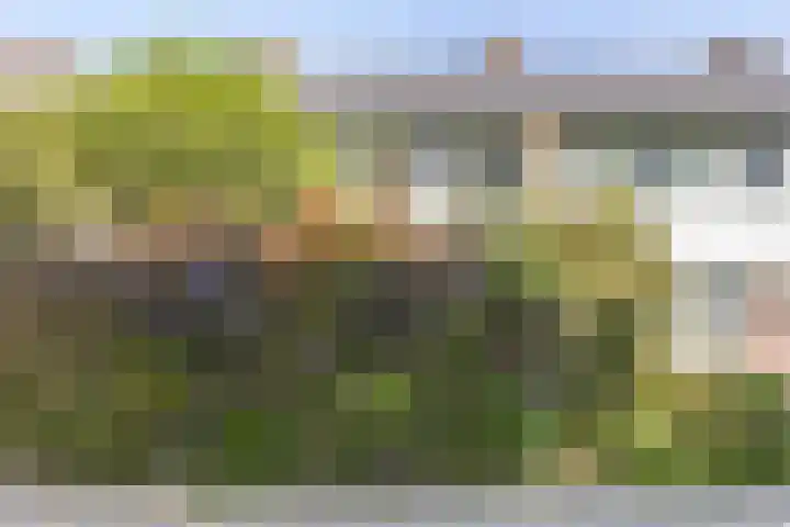 Rechterenstraat 54 Breda thumbnail 34