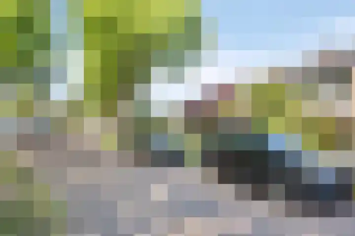Rechterenstraat 54 Breda thumbnail 35