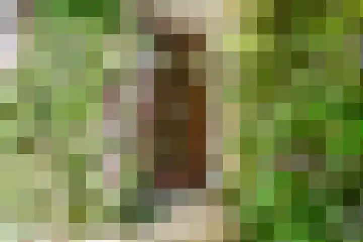 Rechterenstraat 54 Breda thumbnail 7