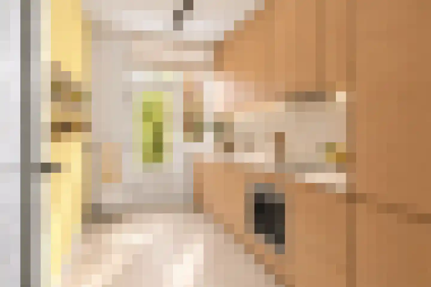 Rechterenstraat 72 Breda thumbnail 14