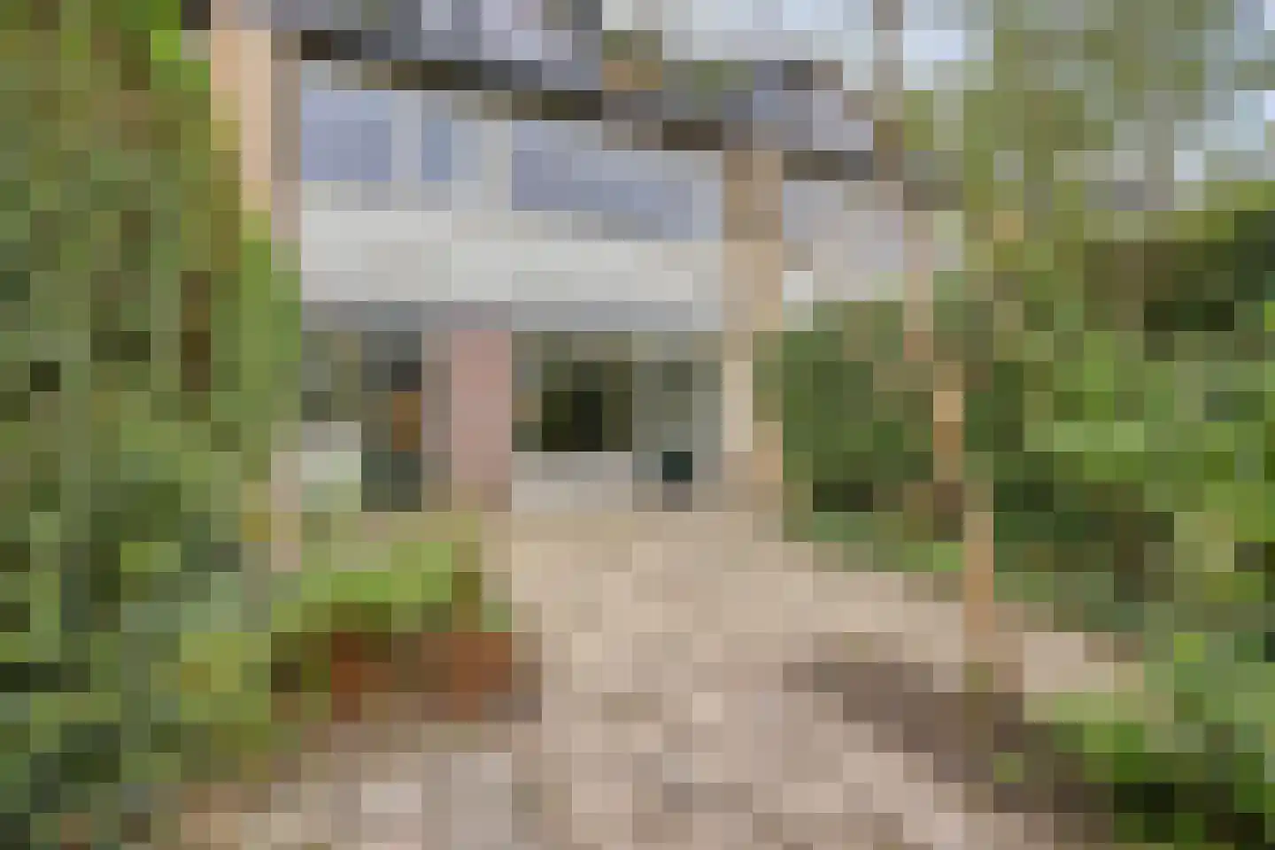 Rechterenstraat 72 Breda thumbnail 17