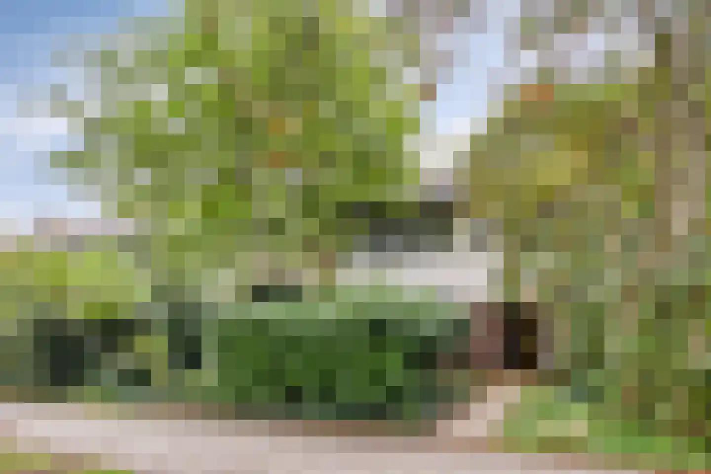 Rechterenstraat 72 Breda thumbnail 39
