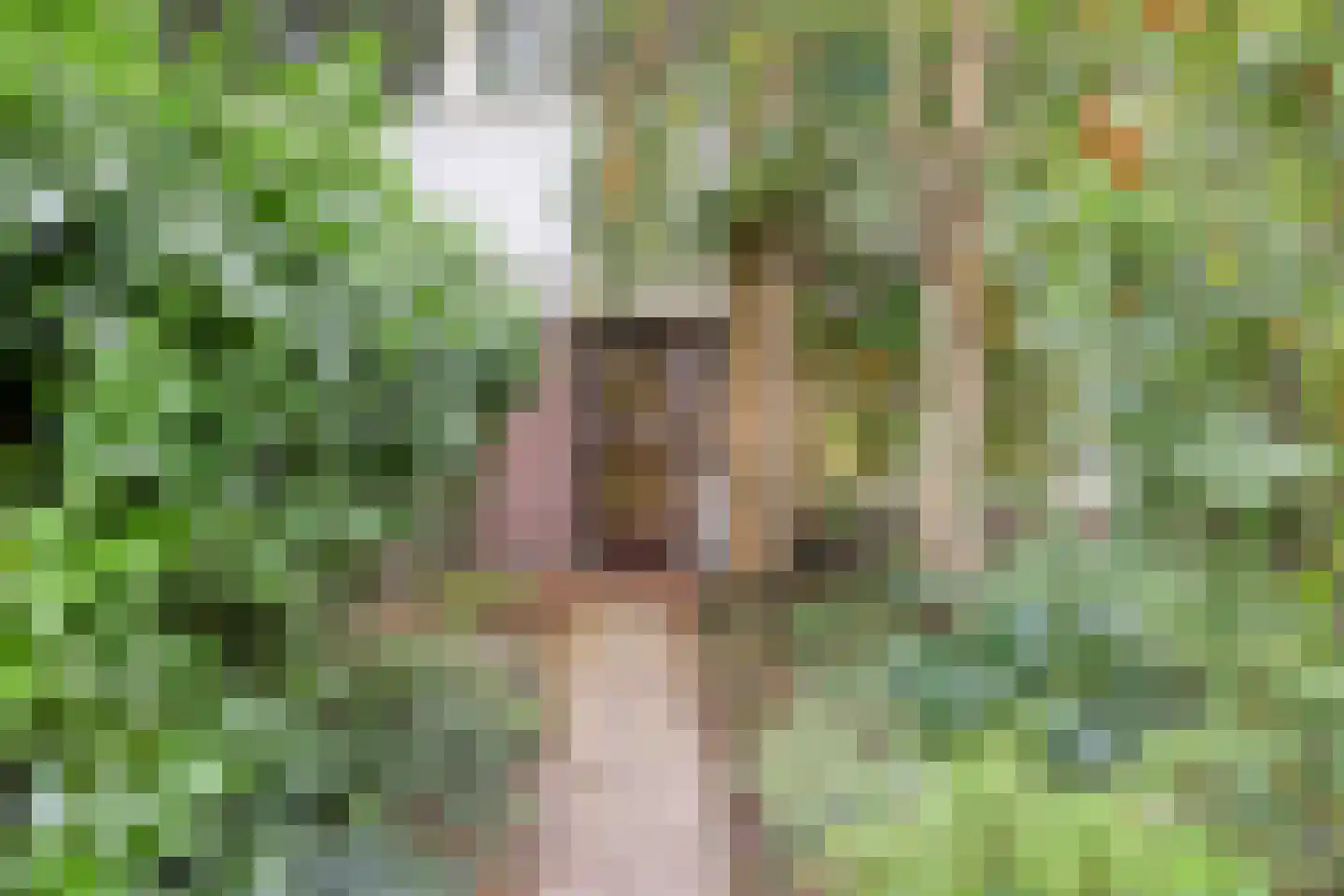 Rechterenstraat 72 Breda thumbnail 7