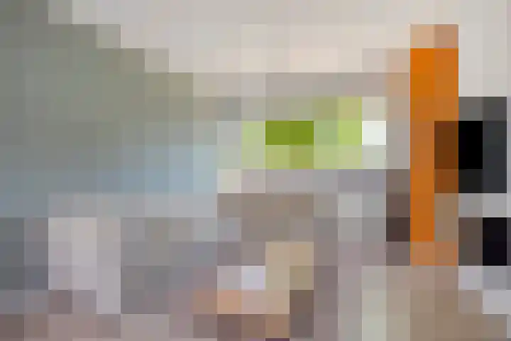 Rechterenstraat 8 Arnhem thumbnail 11