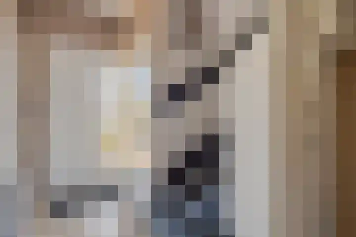 Rechterenstraat 8 Arnhem thumbnail 7